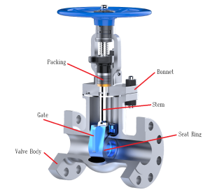 Gate Valve Structure