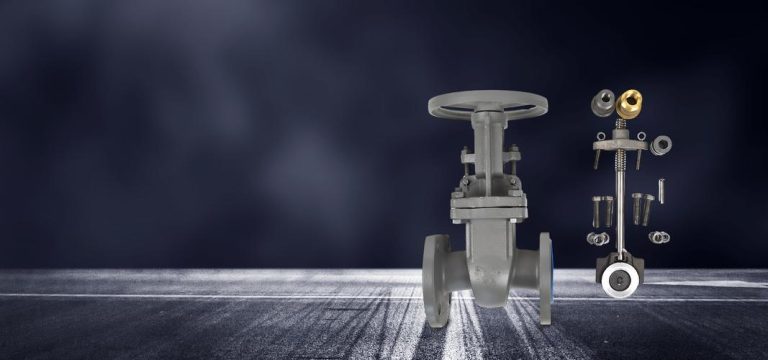 gate valve