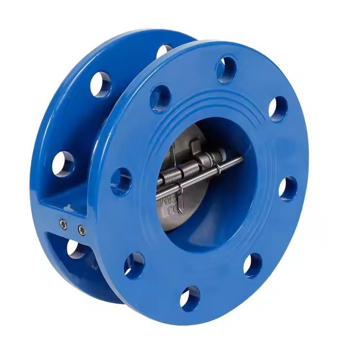 6 wafer check valve​.jpg