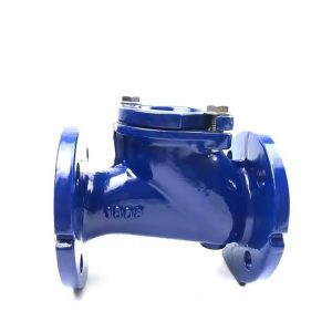 Ball Flange Check Valve