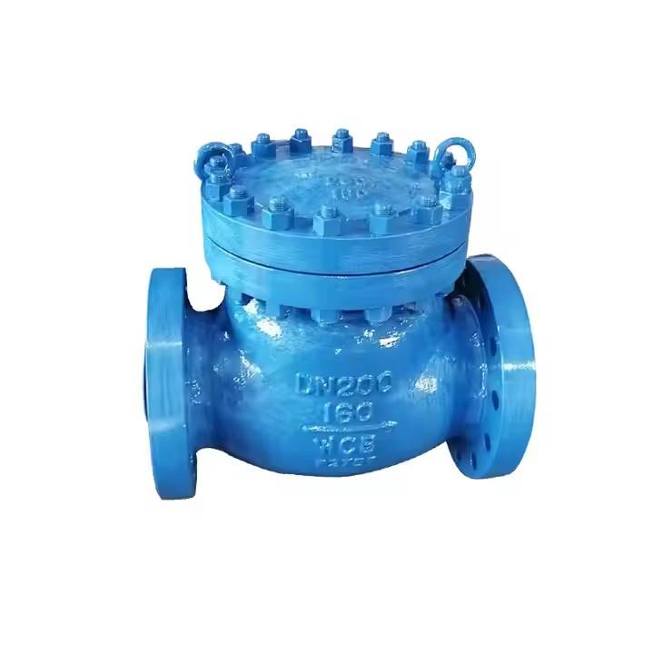 Swing Check Valve