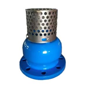 Check Valve with Flange End Foot Valve