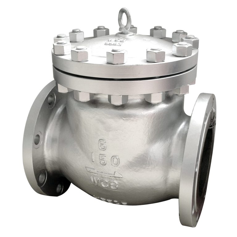 Flange Check Valve