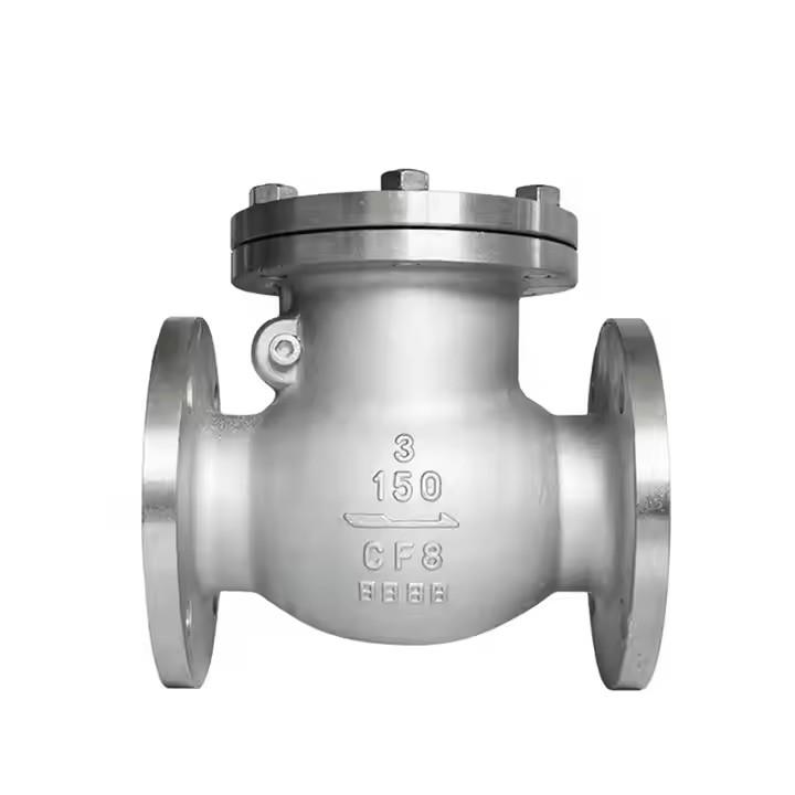 Flange Check Valve