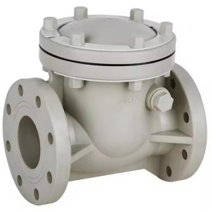 Plastic Flange Check Valve