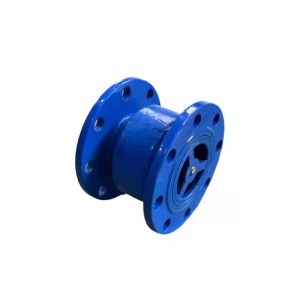 Vertical Flange Check Valve