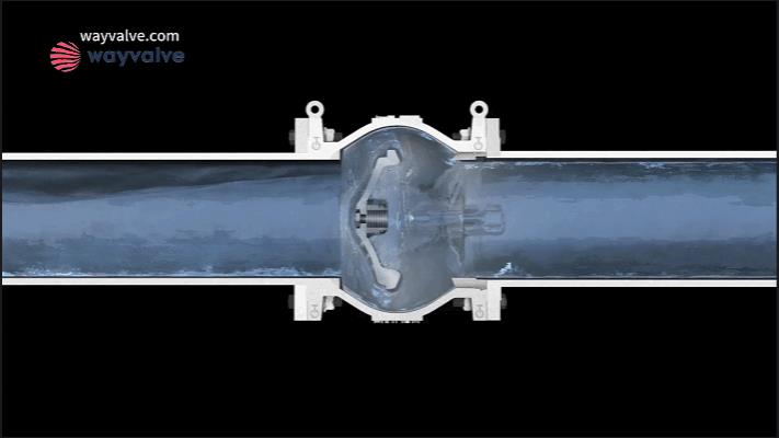 axial check valve  cover