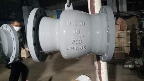 axial check valve manufacturer