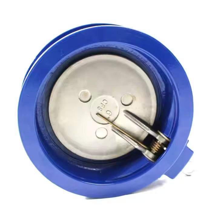 wafer swing check valve​