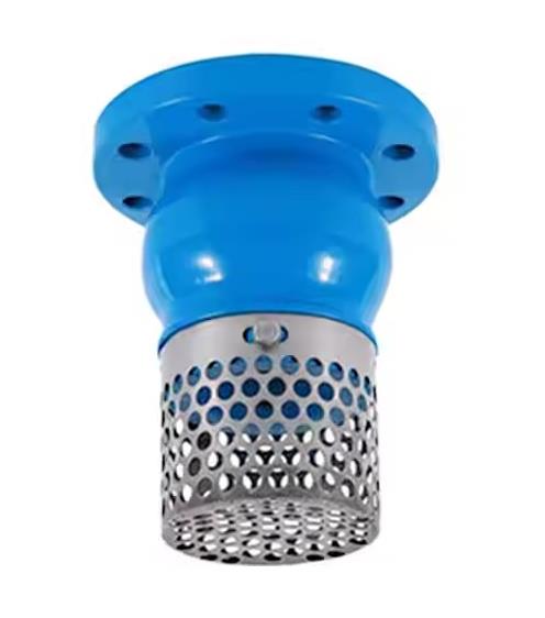 foot valves​