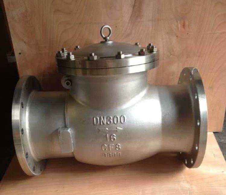 swing check valve