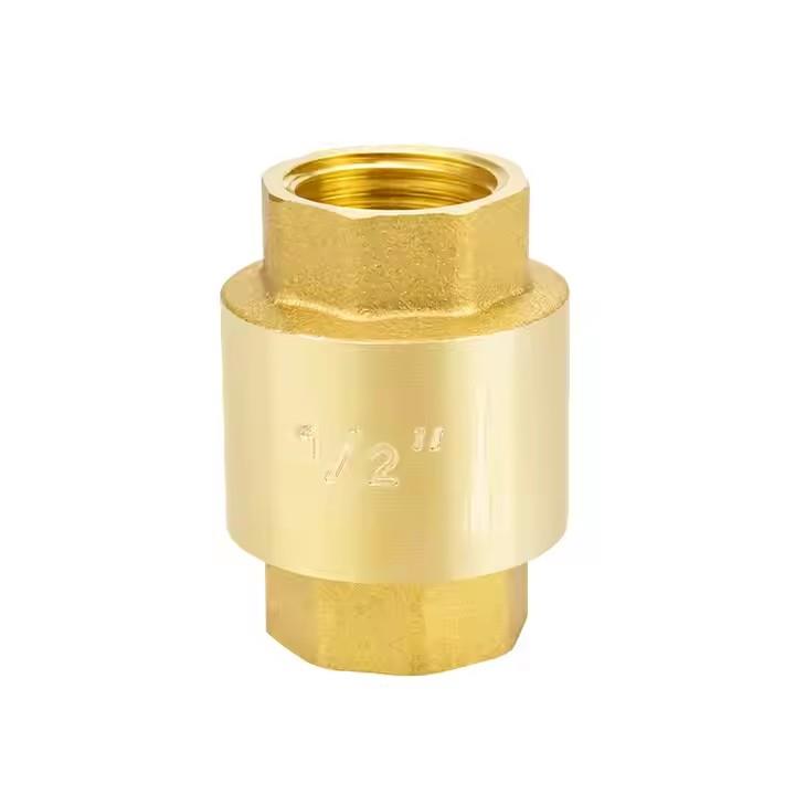 1 2 Brass One Way Check Valve