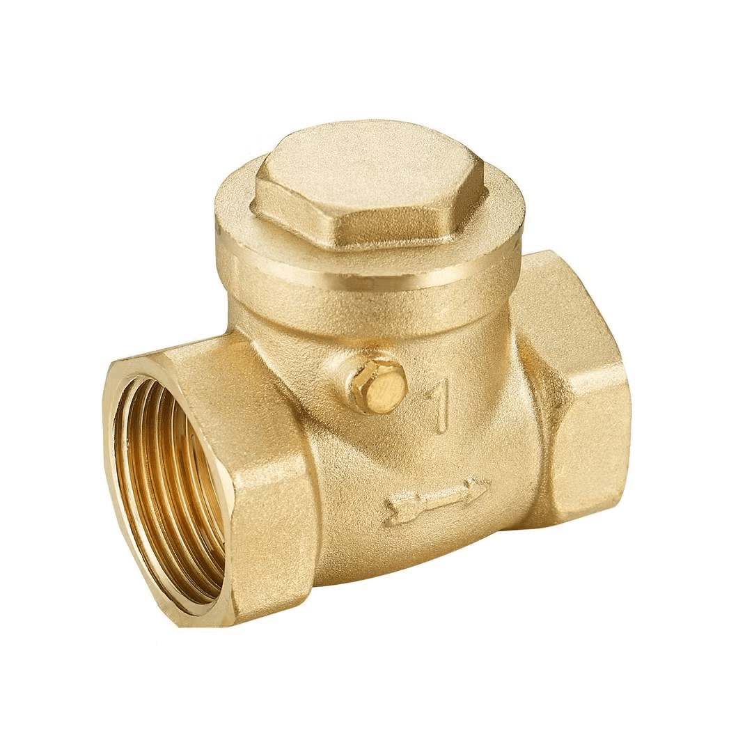 1 check valve