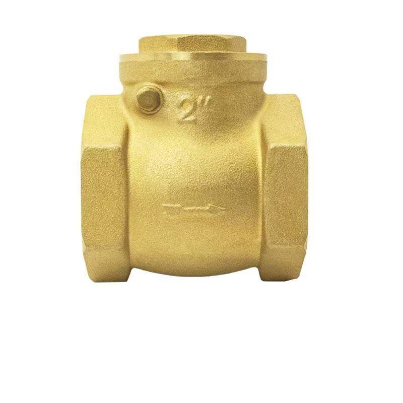 2 inch check valve