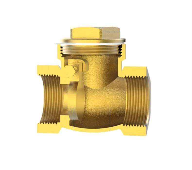 brass one way check valve