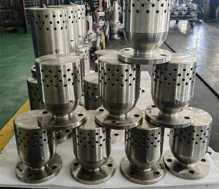 vacuum breaker check valve​