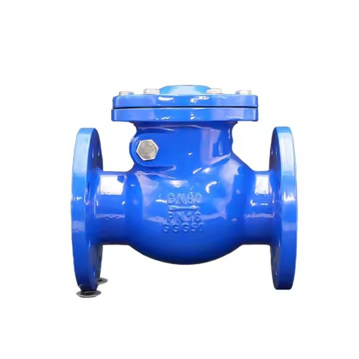 vacuum check valve