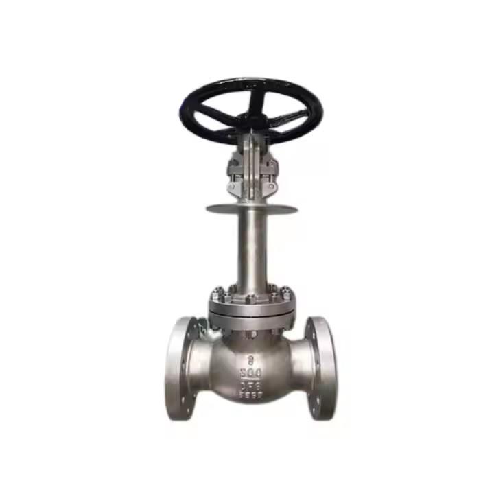 Cryogenic Globe Valve
